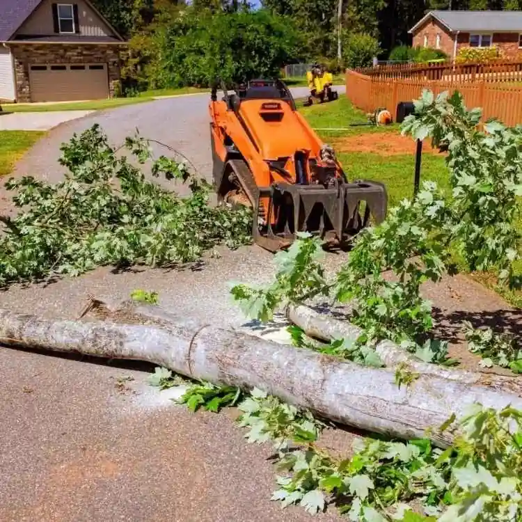 disaster restoration service