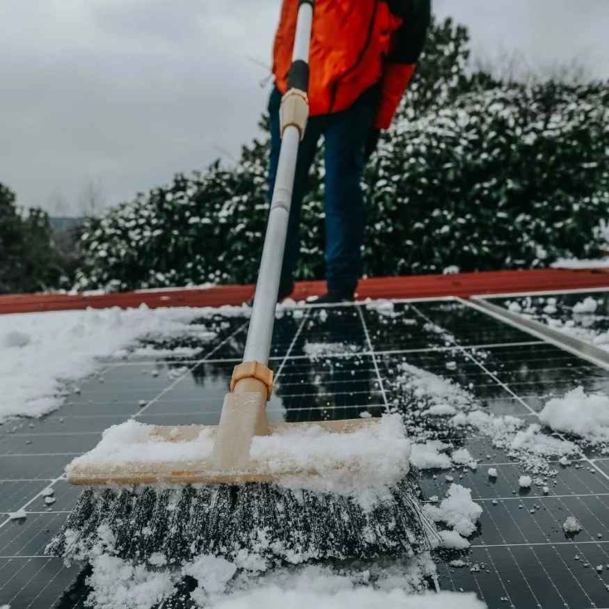 ice management